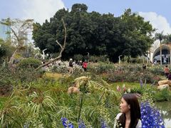 -人民公园(罗湖区)