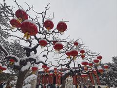 -颐和园