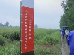 -裕和堂中医推拿艾灸(太古汇臻品店)