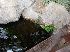 -北京植物园-展览温室