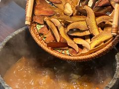 -蘑界·野生菌火锅(深业上城店)