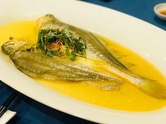 大黄鱼清蒸-麟1929(外滩店)