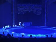 -珠海横琴长隆《卡卡虎奇遇记》