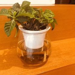 -时尚殿堂·颜SPA