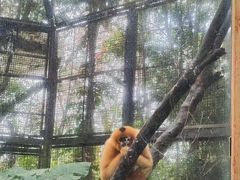 -海南热带野生动植物园