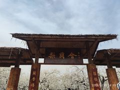 -江苏三台山国家森林公园