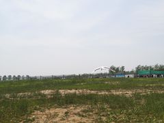 -盐城丹顶鹤湿地生态旅游区