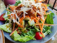 日式照烧鸡肉沙拉-萨尔瓦多Salvador's