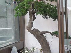 -松子料理(亮马桥店)