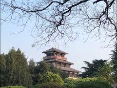 -嵖岈山风景区