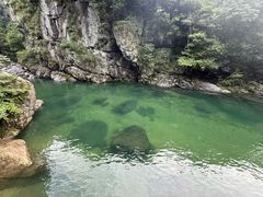 -石台牯牛降景区