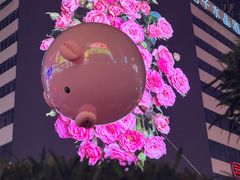 -黄兴南路步行商业街