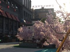 -娘惹裙厨餐厅(昙华林店)