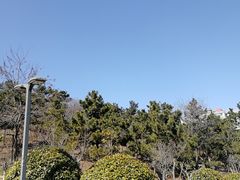-浮山香苑