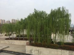 -西安汉城湖景区