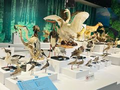 -中国湿地博物馆
