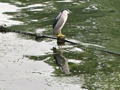 -西湖天地
