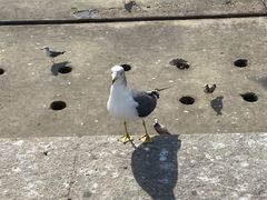-星海广场
