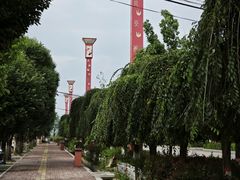-特克斯八卦城