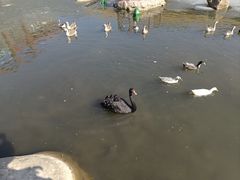 -青峰峡国家森林公园