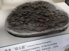 -辽宁古生物博物馆