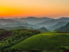 景点-四明山国家森林公园
