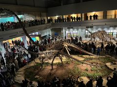 -自贡恐龙博物馆