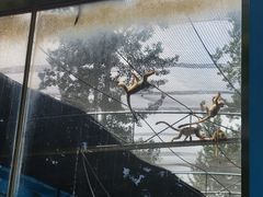 -秦皇岛野生动物园
