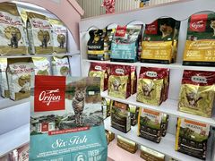 -青奢宠物·青奢猫舍