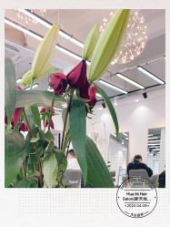 -FUTURE HN男士发型风格设计