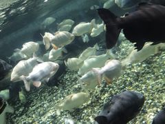 -成都浩海立方海洋公园