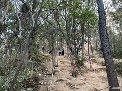 -灵岩山风景区