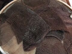 -辣伍鲜毛肚老火锅(元一店)