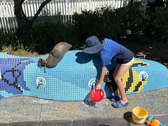 -大梅沙海滨公园