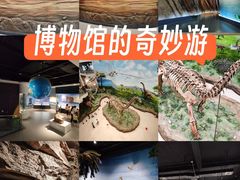 -辽宁古生物博物馆