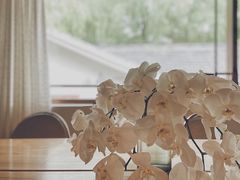 -竹子咖啡bamboo coffee
