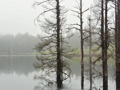 -瓦屋山景区