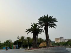 -宝安西湾红树林湿地公园