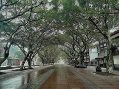 -禅驿嘉定院子-禅欢江景餐厅·中餐·户外烧烤定制(乐山大佛店)