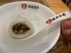 -海丝金凤(金鱼店)