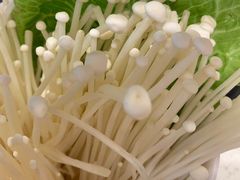 -好彩猪肚鸡(正弘城店)
