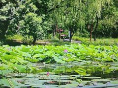 -承德避暑山庄景区