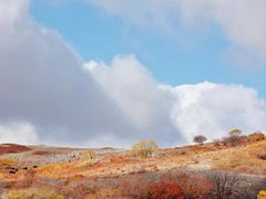 -草原天路(张北县)