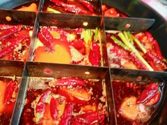 -海底诱惑(中骏世界城店)