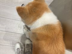 -YCHL Studios健身工作室(市二宫店)