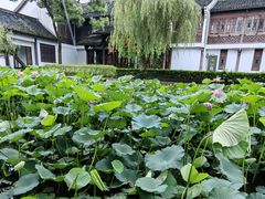 -鲁镇
