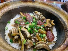 -红星光发煲仔饭(大石街店)