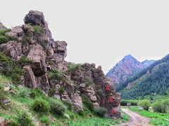 -山丹皇家马场