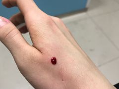 -纳吉亚猫专科动物诊疗中心(蒋宅口分院)