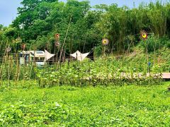 -白鹭湾湿地公园